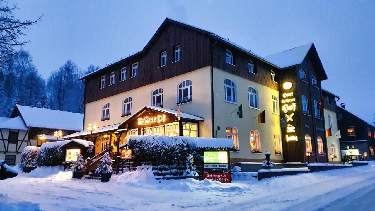 Hotel Seiffener Hof*** Exteriér fotografie