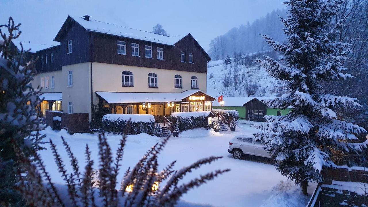 Hotel Seiffener Hof*** Exteriér fotografie